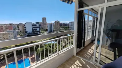 Pis – Alicante - Alacant - Vista 3