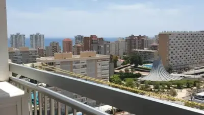 Pis – Alicante - Alacant - Vista 5