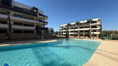 Pis – Orihuela - Vista 2