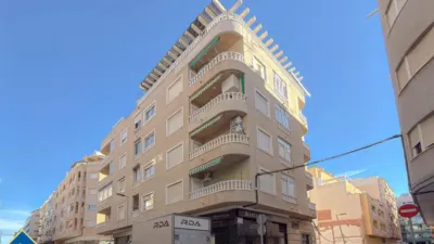 Pis – Torrevieja, El Palmeral - Vista 3