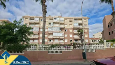 Pis – Torrevieja - Vista 2