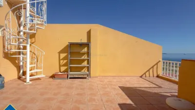 Pis – Torrevieja - Vista 4