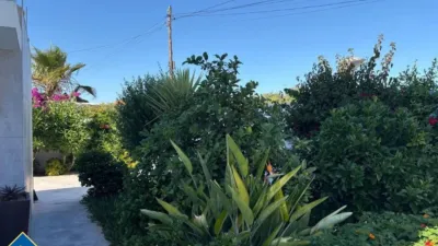 Casa – Torrevieja - Vista 4