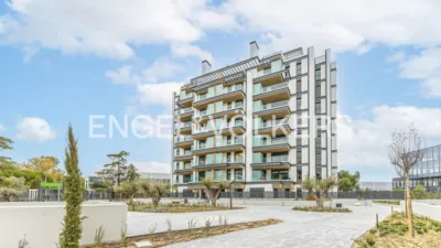 Apartamento en alquiler en Pinar del Rey - Imagen 3