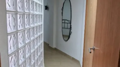 Piso – Sant Vicent del Raspeig - San Vicente del Raspeig - Más