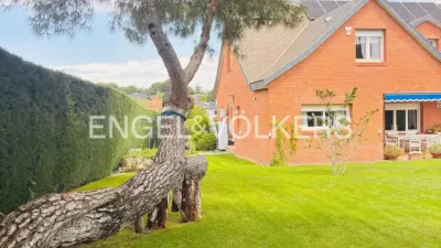 House in El Olivar de Mirabal photo 45
