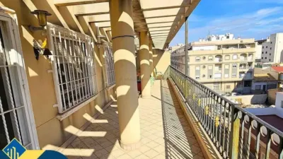 Pis – Elx / Elche, la Barrera, Urbanització Les Atzavares - Vista 2