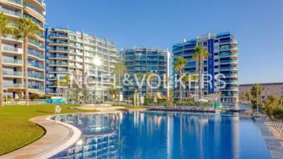 Pis – Torrevieja - Vista 2