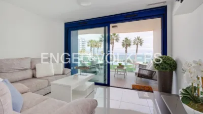 Pis – Torrevieja - Vista 3