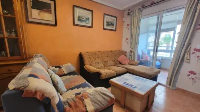 Apartment on Calle Colomer photo 5