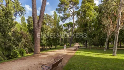 Apartment on Calle de la Academia photo 18