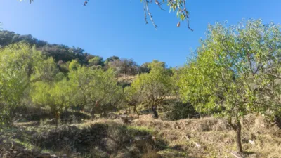 Rustic house in Purchena photo 26