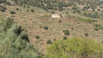 Rustic house in Purchena photo 29