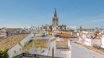Apartment in San Bartolomé-Judería photo 65