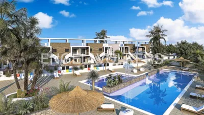 Pis – Pilar de la Horadada, Mil Palmeras, Urbanización Mil Palmeras - Vista 2