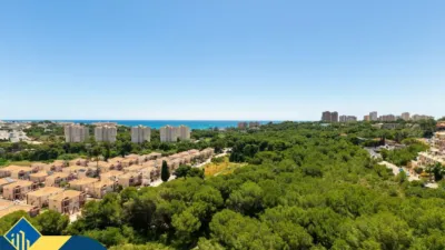 Pis – Orihuela, El Pinar de Campoamor, Dehesa de Campoamor - Vista 2