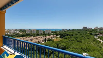 Pis – Orihuela, El Pinar de Campoamor, Dehesa de Campoamor - Vista 3