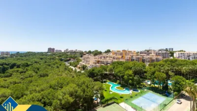 Pis – Orihuela, El Pinar de Campoamor, Dehesa de Campoamor - Vista 5