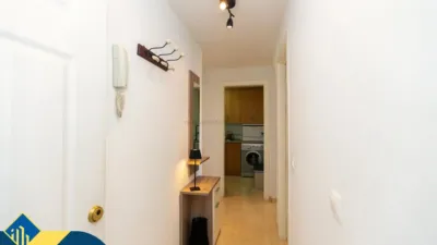 Pis – Orihuela, El Pinar de Campoamor, Dehesa de Campoamor - Més