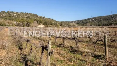 Casa en Begues photo 68
