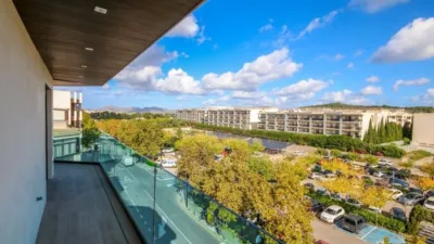 Penthouse in Platja d'Alcúdia-Port d'Alcúdia photo 16