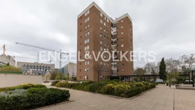 Apartment in El Viso photo 39