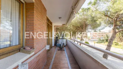 Flat in Sant Sadurní d'Anoia photo 10