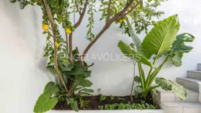 Townhouse in Sant Cosme-La Granja photo 24