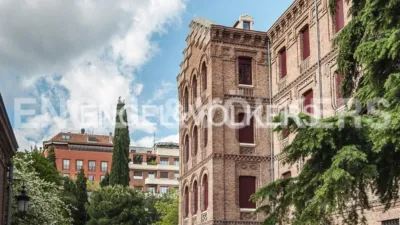 Apartment in Goya photo 20