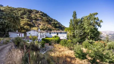 Rustic house in Grazalema photo 2