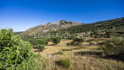 Rustic house in Grazalema photo 3