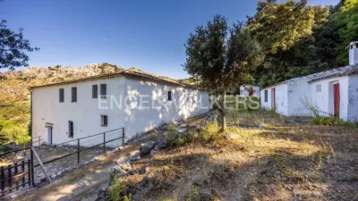 Rustic house in Grazalema photo 5