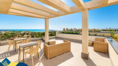 Piso – Orihuela, Mil Palmeras - Vista 3
