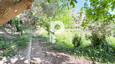 House on Carrer Major, 600 photo 9