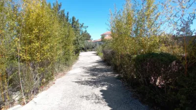 Chalet in Macastre photo 60