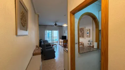 Pis – Torrevieja - Vista 2