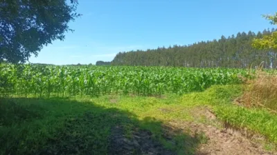 Terreno en venta en Calle Seselle, Número 15386 - Vista 2