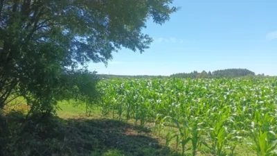 Terreno en venta en Calle Seselle, Número 15386 - Vista 3