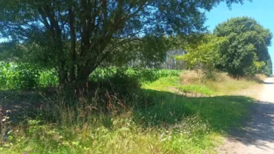 Terreno en venta en Calle Seselle, Número 15386 - Vista 5