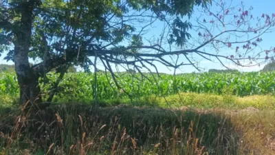 Terreno en venta en Calle Seselle, Número 15386 - Más