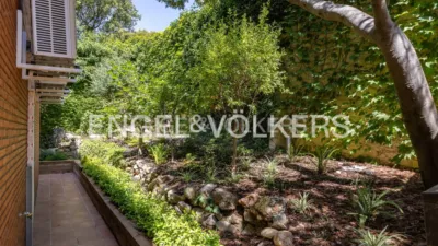 Montmar photo 64