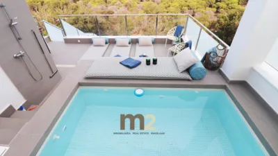 Penthouse on Calle Alcalde Rosalino Pérez Hde photo 22