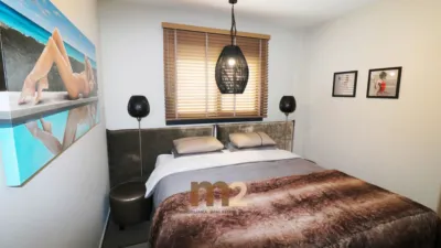 Penthouse on Calle Alcalde Rosalino Pérez Hde photo 38