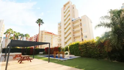 Penthouse on Calle Alcalde Rosalino Pérez Hde photo 46