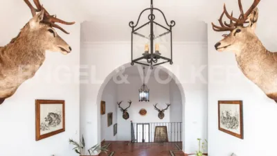 Rustic house in Guadalcanal photo 35