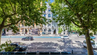 Apartment in Goya photo 25
