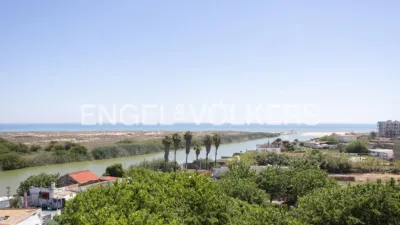 Apartment in El Perellonet photo 30