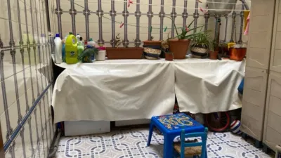 Apartment in Elx - Elche - More