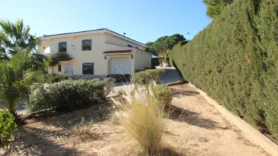 Chalet in Chiva photo 29