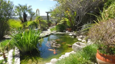 Rustic house in Teulada photo 10